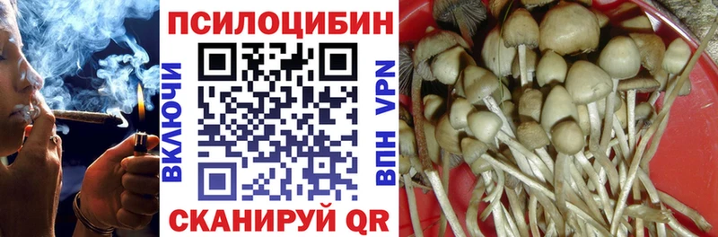 Псилоцибиновые грибы Psilocybe  Верхний Уфалей 